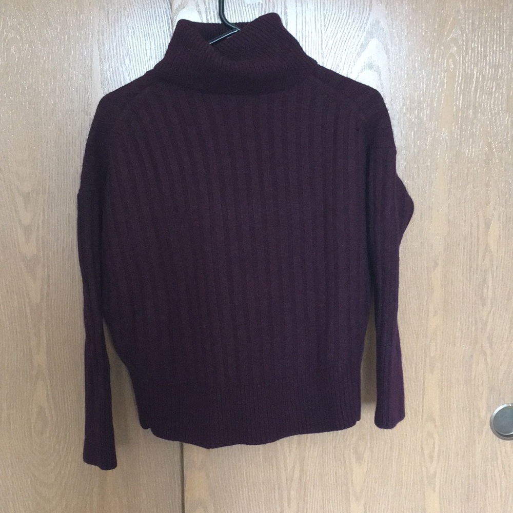 Maroon Turtleneck Sweater